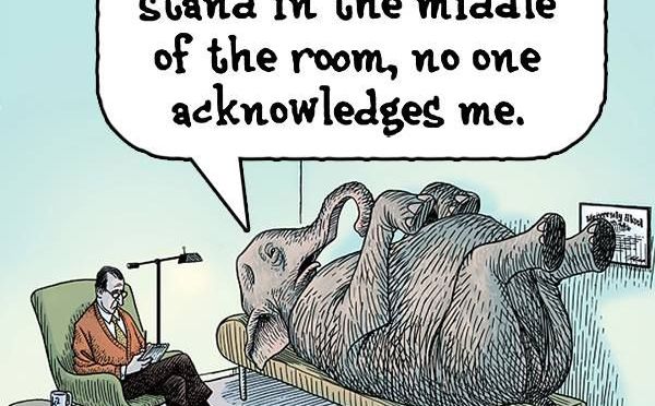 Addressing the Elephant in the Room…